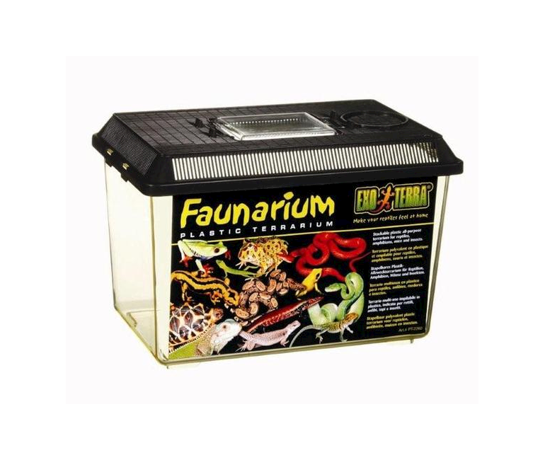 Faunarium - Medium Plastik Terrarium 30x19.5x20.5cm