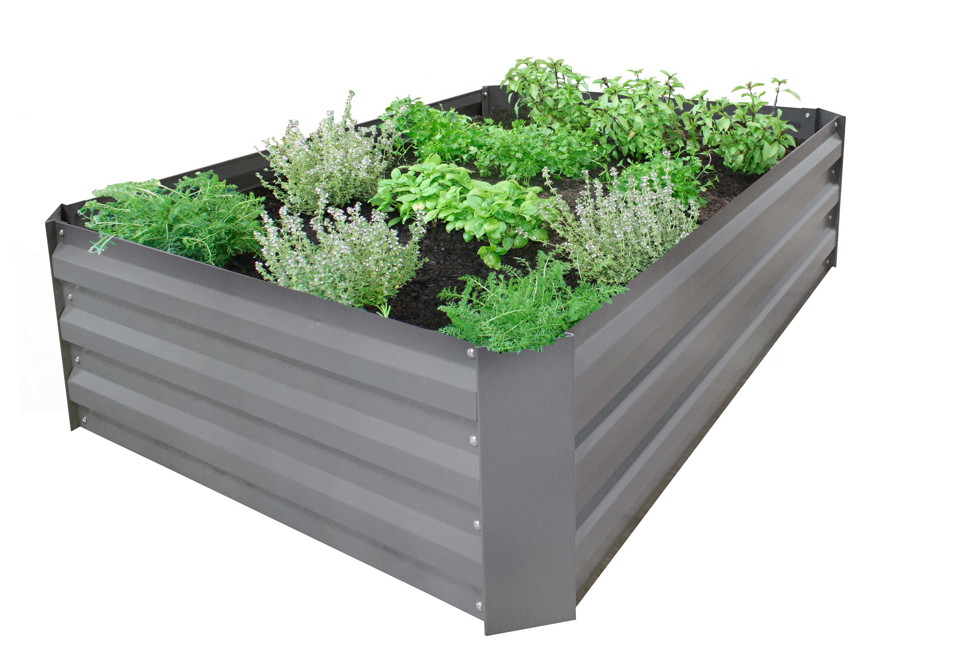 Buy Gardenlife Easy Raised Bed 80 x 120 cm Medium (131661)