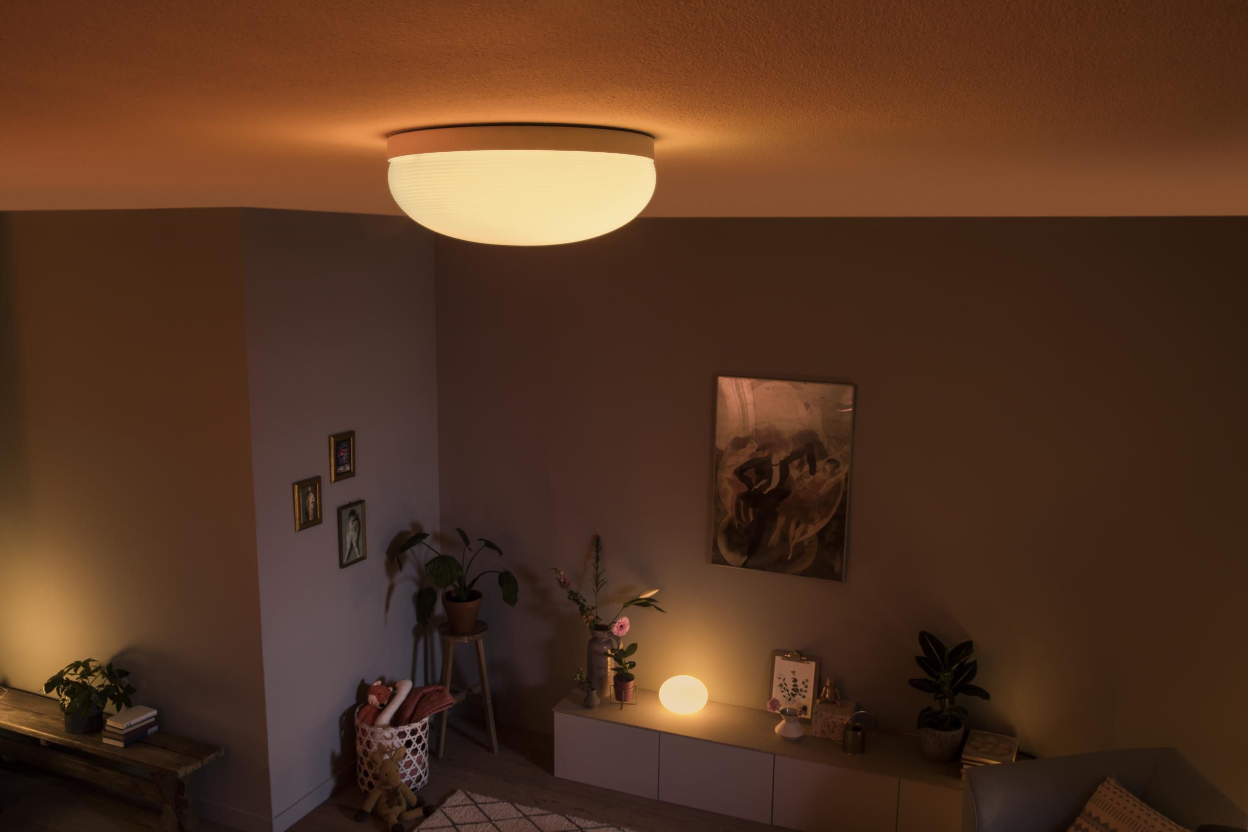 Philips Hue Flourish Ceiling Light Bluetooth White Color Ambiance