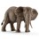 Schleich - Wild Life - African Elephant, Female (14761)