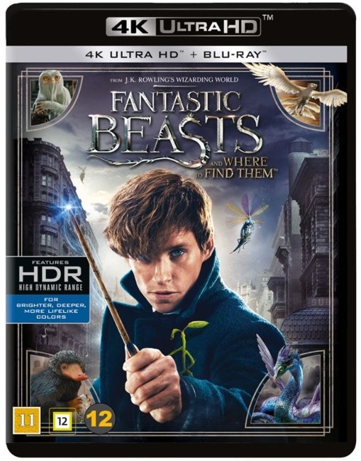Fantastic Beasts and Where to Find Them (4K Blu-Ray)