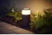 Philips Hue -  Calla Outdoor Starter Basekit - White & Color Ambiance thumbnail-26