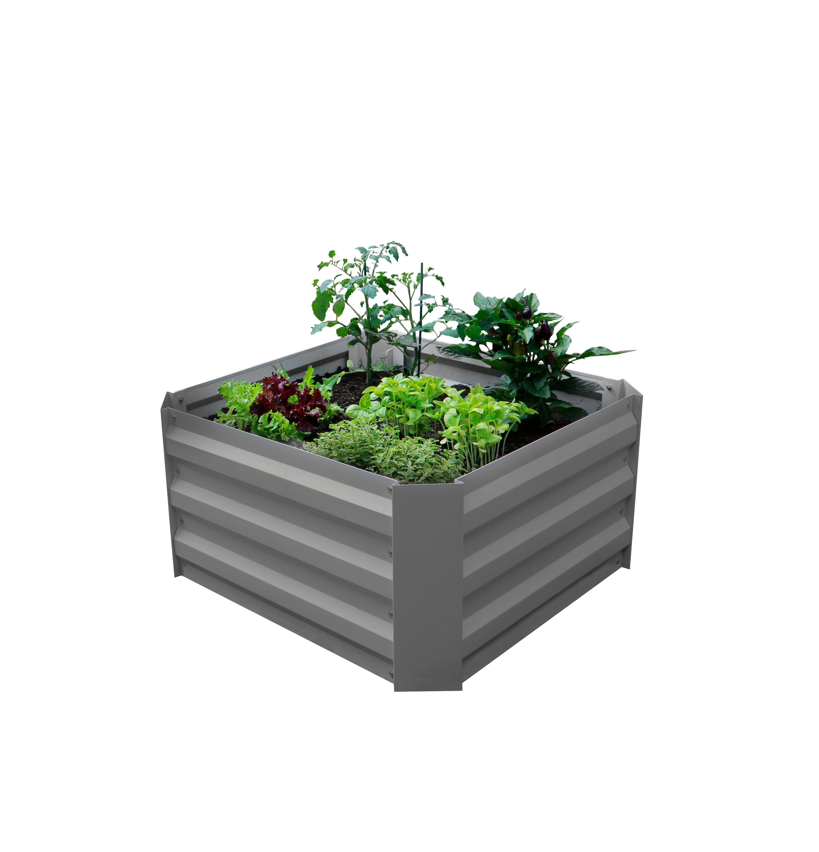 Gardenlife - Easy Raised Bed 60 x 60 cm - XS (131660)