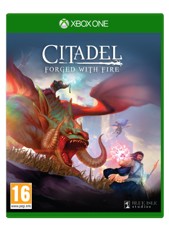 Citadel: Forged with Fire - Videospill og konsoller