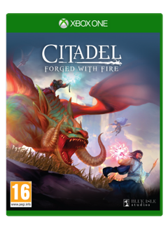 Citadel: Forged with Fire