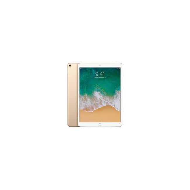 Apple iPad Pro - 10.5" - 512GB - Wifi (Gold) (UK) Included Charger