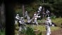 Star Wars - Legion - Core Set (English) (FSWL01) thumbnail-6