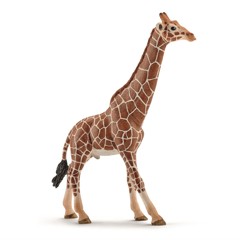 Schleich - Giraffe, male (14749)