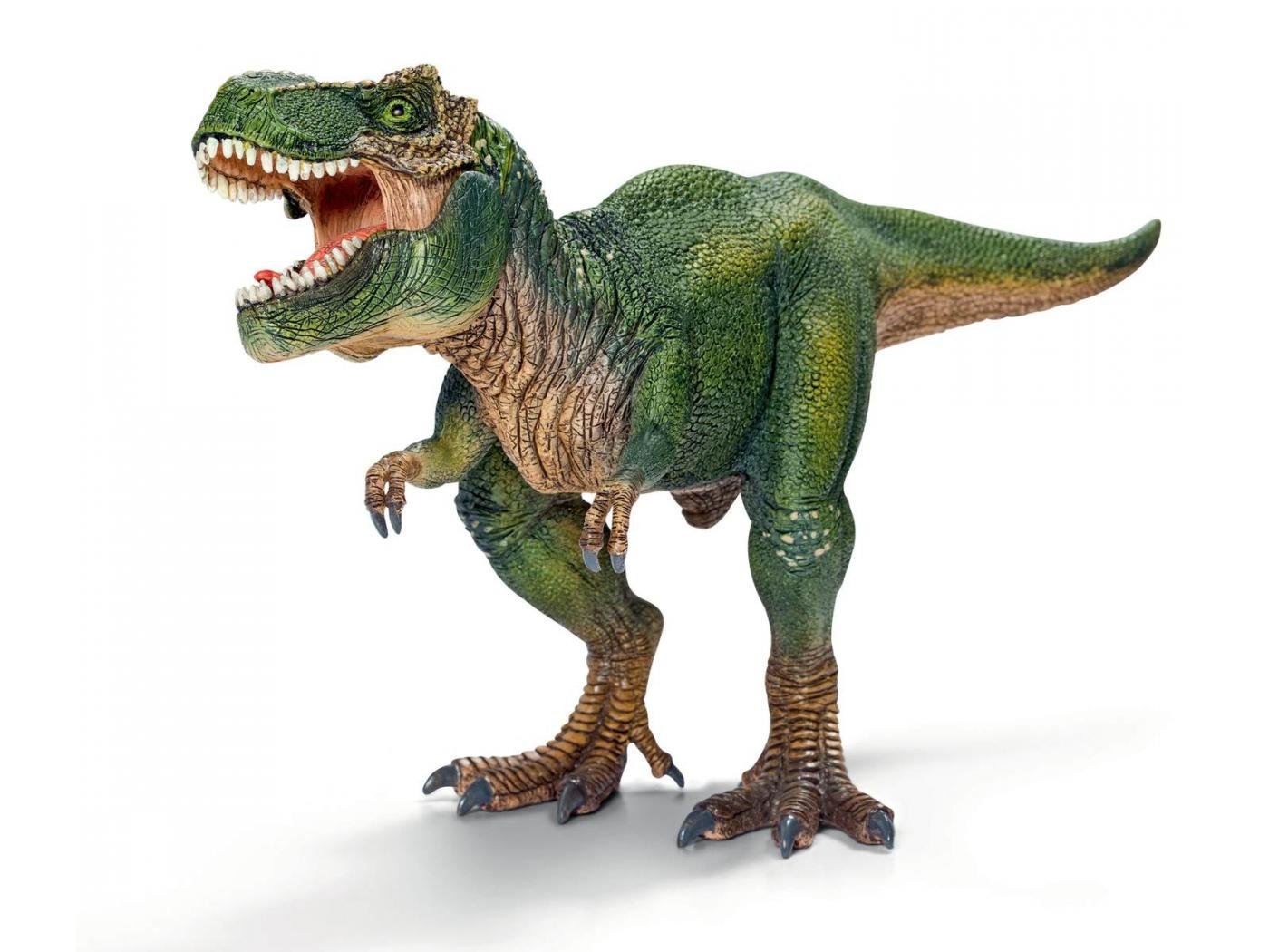 Billede af Schleich - Dinosaur - Tyrannosaurus Rex (14525)