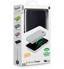Induction Charger + Battery for DSi (Bigben)
