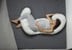 Chicco - Total Body Pregnancy Pillow - Boppy Silverleaf (2046-205-830) thumbnail-2