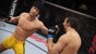 UFC: Ultimate Fighting Championship thumbnail-2
