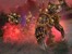 Warhammer® 40,000™: Dawn of War® II: Retribution thumbnail-5