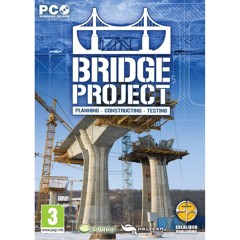 Bridge Project