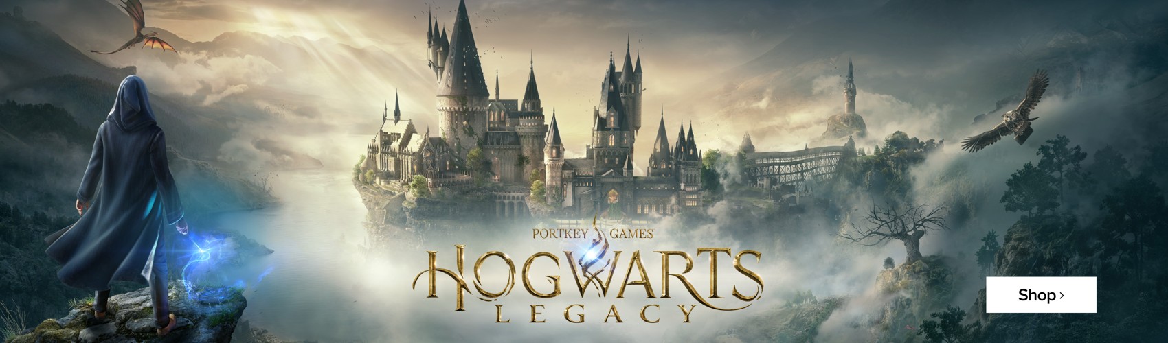 Hogwarts Legacy PS4 ( Exclusive) : .co.uk: PC & Video